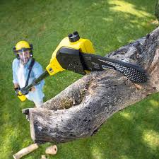 Best Landscape Design and Installation  in Maxwell, CA